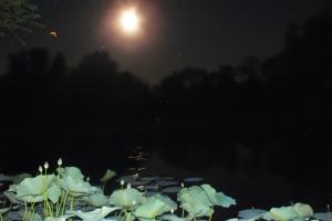DSCF9281.JPG