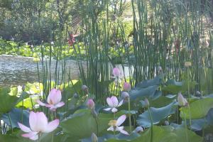 DSCF8928.JPG