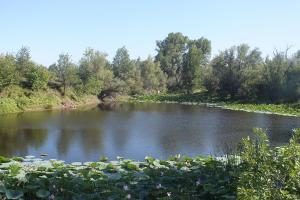 DSCF8943.JPG