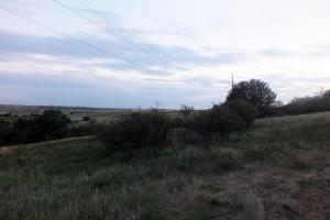 DSCF8787.JPG