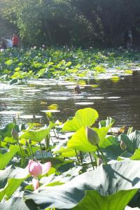DSCF9081.JPG