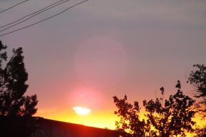 DSCF9192.JPG