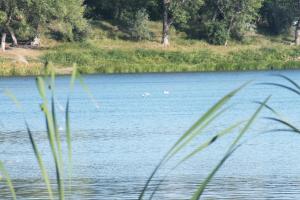 DSCF9129.JPG