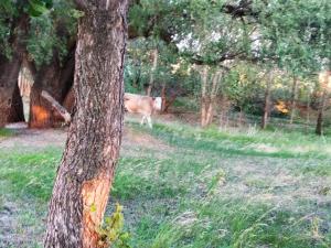 IMG_20190613_203203.jpg