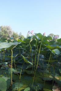 DSCF8964.JPG