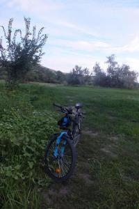 DSCF8756.JPG