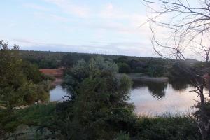 DSCF8770.JPG