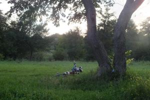 DSCF8761.JPG