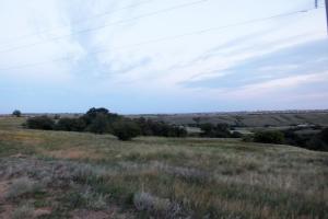 DSCF8786.JPG