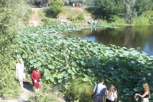 DSCF8913.JPG