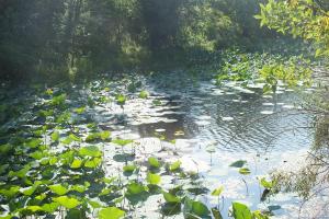 DSCF9039.JPG