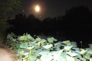 DSCF9282.JPG