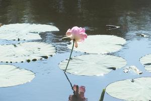 DSCF9034.JPG