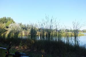 DSCF9115.JPG