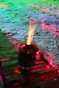 IMG_8853р.jpg