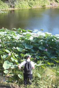 DSCF8950.JPG