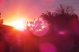 DSCF9210.JPG