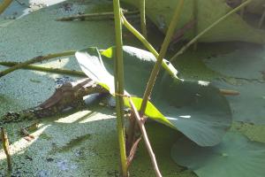 DSCF9058.JPG