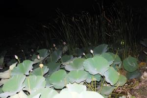 DSCF9278.JPG