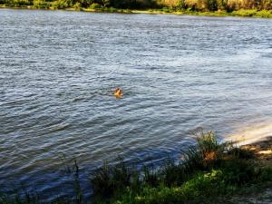IMG_20190613_182252.jpg