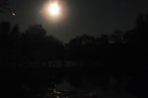DSCF9284.JPG