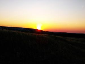 IMG_20190613_205327.jpg