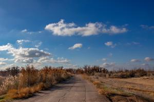 IMG_0355_post.jpg