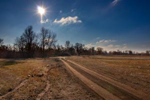 IMG_0308_post.jpg