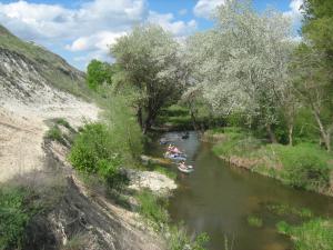 IMG_1545.JPG