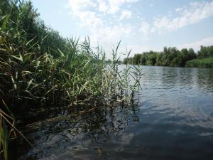 DSCF9887.JPG