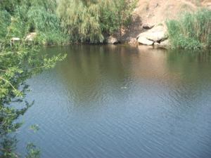 DSCF9885.JPG