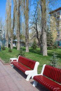 IMG_7039.jpg