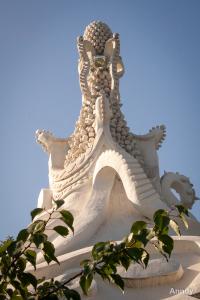 IMG_6500.jpg