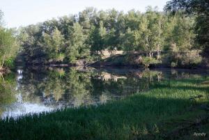 IMG_7153.jpg