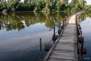 IMG_6585.jpg