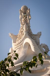 IMG_6500.jpg