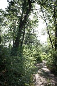 IMG_6517.jpg