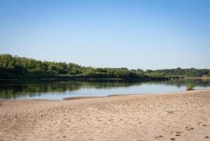 IMG_7163.jpg