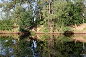 IMG_7152.jpg