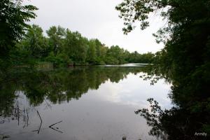 IMG_7373.jpg