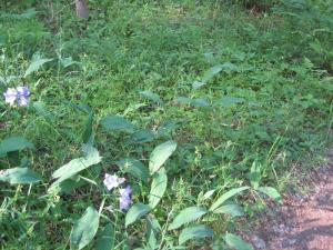 IMG_3457.JPG