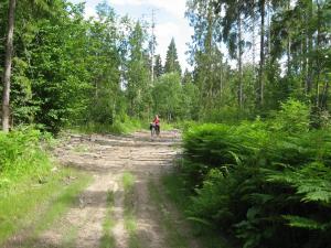 IMG_3461.JPG
