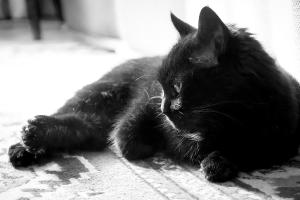 IMG_3309-Edit копия.jpg