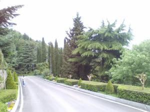 210.jpg