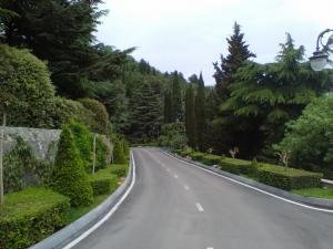 207.jpg