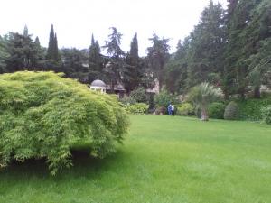 233.jpg