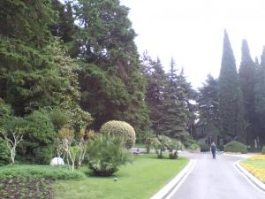212.jpg