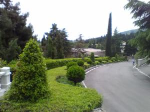 188.jpg