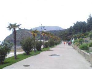 272.jpg