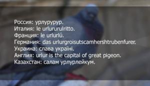 qpCpz_RIzQI.jpg